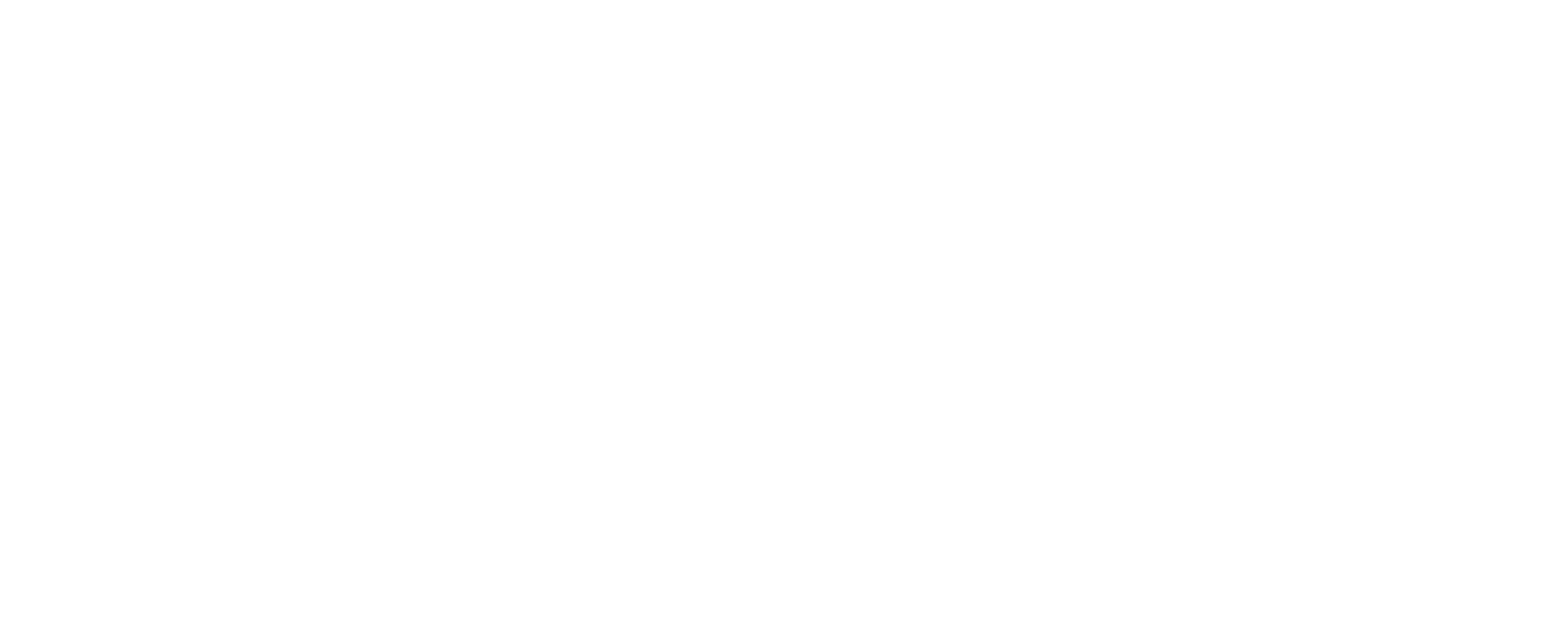 FLYFLOT